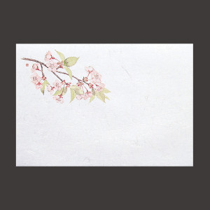 尺1お手元まっと 四季  桜  (100枚入)  (W64951)