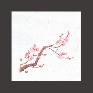 4寸OP懐石敷紙  梅  (100枚入)  (W65110)