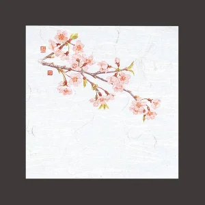 4寸OP懐石敷紙 桜  (100枚入)  (W65111)