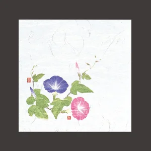 4寸OP懐石敷紙 朝顔  (100枚入)  (W65116)