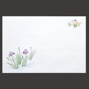 尺3雲竜和紙懐石まっと 枯淡 花しょうぶ  (100枚入)  (W65202)