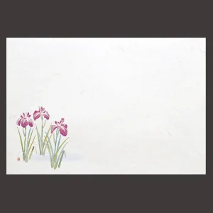 尺5雲竜和紙懐石まっと 四季 菖蒲  (100枚入)  (W65331)