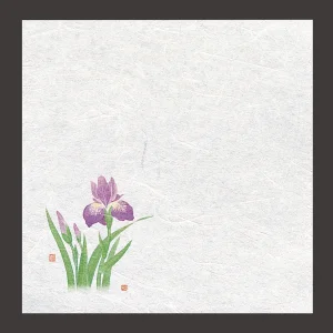 新・濡れ奉書紙  菖蒲  (100枚入)  (W65395)