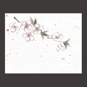 4x5寸花風情 桜  (100枚入)  (W65967)