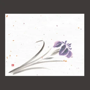 4x5寸花風情 菖蒲  (100枚入)  (W65968)