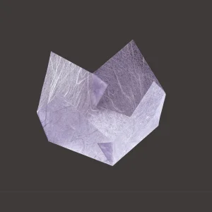 両面ラミ正角珍味入 藤雲竜 (200枚入)  (W66304)