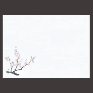 尺3雲竜和紙懐石まっと 花彩(はなさい) 梅  (100枚入)  (W66428)