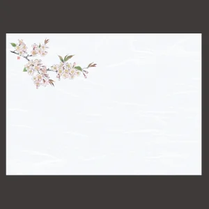 尺3雲竜和紙懐石まっと 花彩(はなさい) 桜  (100枚入)  (W66429)