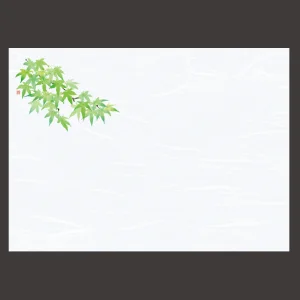 尺3雲竜和紙懐石まっと 花彩(はなさい) 青もみじ  (100枚入)  (W66430)