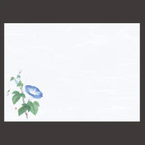 尺3雲竜和紙懐石まっと 花彩(はなさい) 朝顔  (100枚入)  (W66433)
