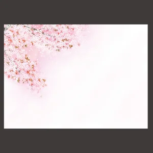尺3四季彩まっと 花雅(はなみやび) 桜  (100枚入)  (W66451)