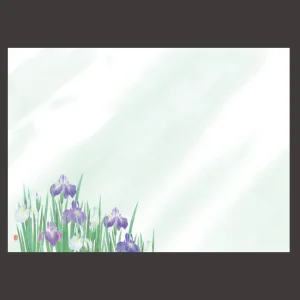 尺3四季彩まっと 花雅(はなみやび) 菖蒲  (100枚入)  (W66453)