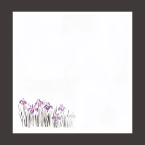 花宴耐油天紙 菖蒲 4寸 (100枚入)  (W68607)