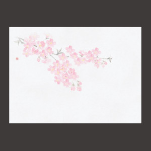 四季彩鮮度保持紙 桜 (100枚入)  (W69003)