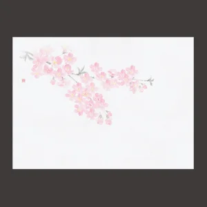 四季彩鮮度保持紙 桜 (100枚入)  (W69003)