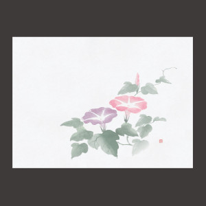 四季彩鮮度保持紙 朝顔 (100枚入)  (W69009)