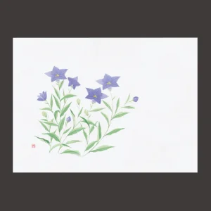 四季彩鮮度保持紙 桔梗 (100枚入)  (W69011)