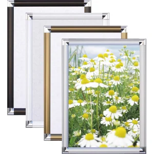 ポップフレーム B1 シルバー