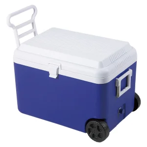 ビッグクーラーボックス60L (HO-248)