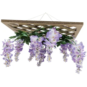 【2026年夏】藤棚 (No182-9)