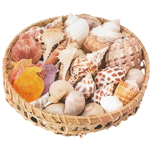 【2026年夏】インテリアシェル 500g (No182-18)