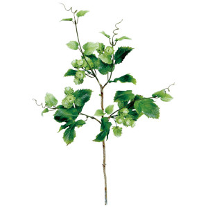 【2026年夏】スプレイホップ (No182-19)