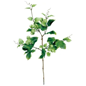 【2026年夏】スプレイホップ (No182-19)