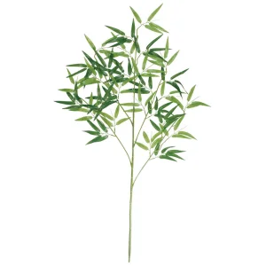 【2026年夏】バンブー大枝 110cm (No182-12)