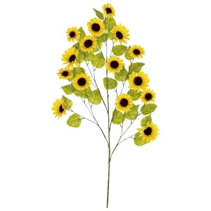 【2026年夏】大枝サンフラワー (No182-17)