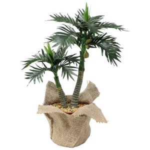 【2026年夏】ミニポットヤシ (No182-20)