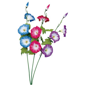 【2026年夏】スプレイシルキー朝顔 (No182-10)