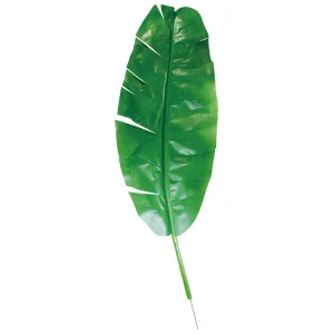 【2026年夏】35インチバナナスプレイ (No182-19)