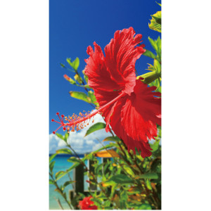 【2026年夏】タペストリー(防炎)ハイビスカス (No182-3)