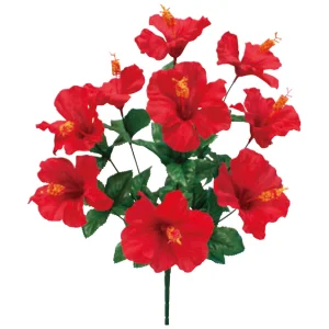 【2026年夏】ハイビスカスブッシュ (No182-19)