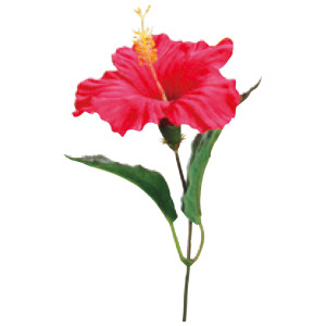 【2026年夏】ハイビスカスピック (No182-19)