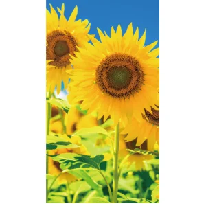 【2026年夏】タペストリー(防炎)満天ひまわり (No182-3)