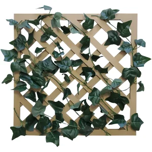 【2026年夏】グリーンラティス イングリッシュアイビー (No182-9)