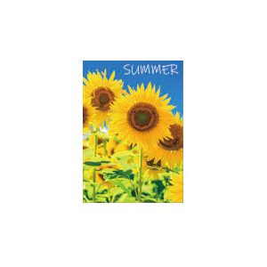 【2026年夏】A1ポスター 夏用A (No182-2)