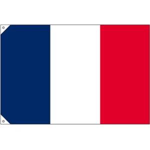 販促用国旗 フランス サイズ:小 (23674)