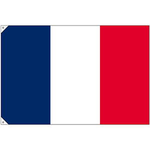販促用国旗 フランス サイズ:大 (23675)