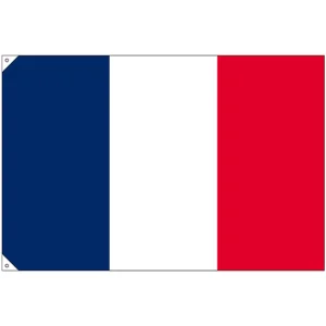 販促用国旗 フランス サイズ:大 (23675)
