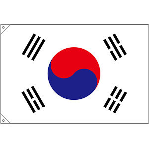 販促用国旗 韓国 サイズ:小 (23692)