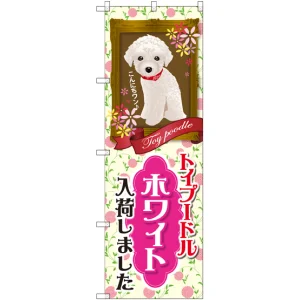 のぼり旗 トイプードル ホワイト 入荷 (GNB-2465)