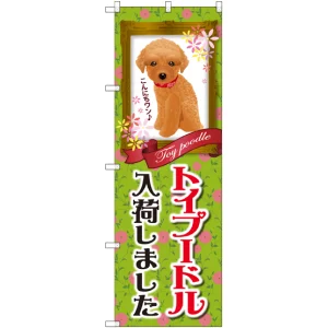 のぼり旗 トイプードル入荷 (GNB-2467)