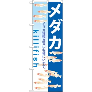 のぼり旗 メダカ killifish (GNB-571)
