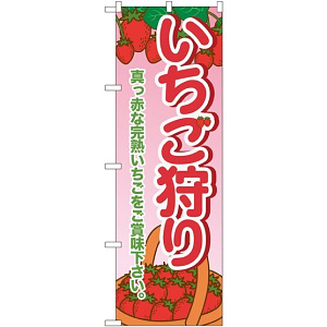 のぼり旗 いちご狩り 真っ赤な完熟いちごをご賞味下さい (SNB-1429)