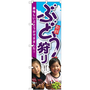 のぼり旗 ぶどう狩り 子供写真 (SNB-2202)