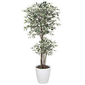 光触媒 人工観葉植物 造花 トロピカルベンジャミン斑入り 1.8 (高さ180cm)