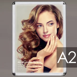 PGライトLEDスリム PG-32Rモデル(LED) A2サイズ R型 屋内用 カラー(仕様):つや有シルバー(壁掛用) (PGL-32R-A2-AG-Wall)