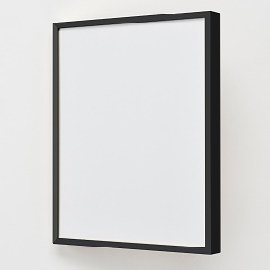 極細フレーム デッサン額 T25 (受注生産品) B1 ブラック (T25(B1)(BK))